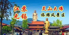 插逼播放江苏无锡灵山大佛旅游风景区